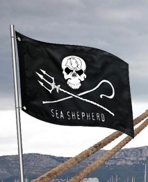 Sea Shepherd Shop | Product categories | Stand Up Paddle Boards | SUP ...